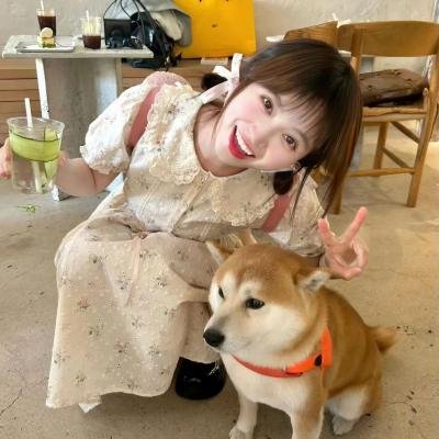 真爱的谎言之破冰者